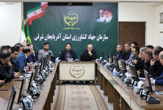 تصمیم راهبردی ستاد کارآمدسازی یارانه‌ها برای تعادل‌بخشی بازار تخم‌مرغ