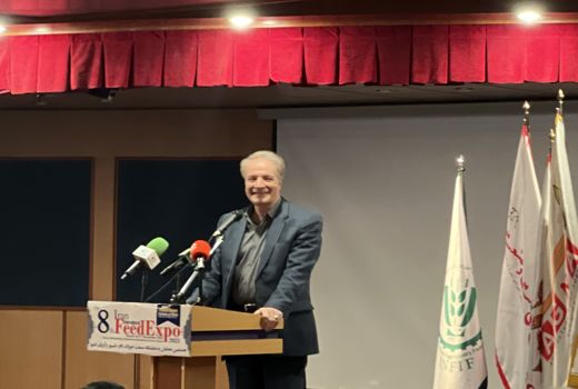 هیچ مشکلی برای تامین گوشت سفید در کشور وجود ندارد