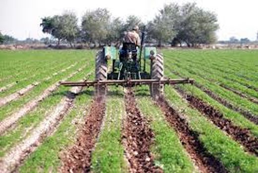 فاروج رتبه چهارم پوشش بیمه ای روستاییان و عشایر را دارد