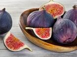 صادرات انجیر به حدود 50 میلیون دلار رسید