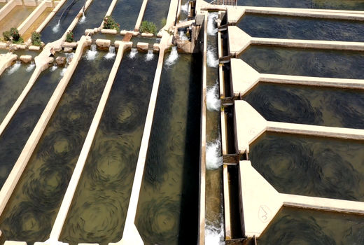 افزایش تولید، توسعه صادرات و تثبیت جایگاه چهارمحال و بختیاری در صنعت شیلات کشور