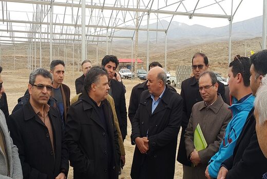 بازدید میدانی رییس سازمان جهاد کشاورزی خراسان شمالی از شهرک گلخانه ای امام رضا (ع) در شهرستان مانه و سملقان