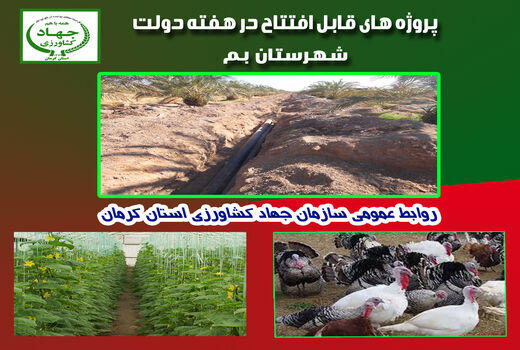پنج طرح کشاورزی و دامپروری شهرستان بم در هفته دولت به بهره برداری رسید