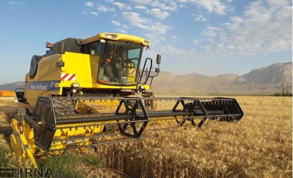 بیش از ۱۱۹ هزار تن گندم در خراسان شمالی خریداری شد