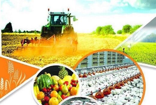 بازرسی مواد غذایی: کلید سلامت از مزرعه تا سفره