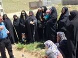 ارتقای دانش کشاورزی زنان روستایی/ کارگاه تخصصی کشت گل گاوزبان در آوج برگزار شد