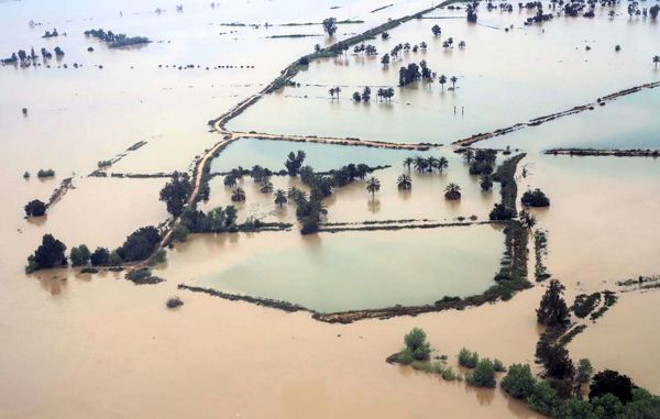 بررسی درخواست ۲۲۲ هزار کشاورز آسیب‌دیده از سیل برای کمک بلاعوض 