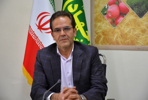 جهش تولید گوشت سفید در هشترود/ تولید سالانه 8 هزار و 500  تن گوشت مرغ
