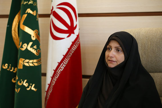 سالانه 4 میلیون اصله نهال در نهالستان های استان قزوین تولید می‌شود