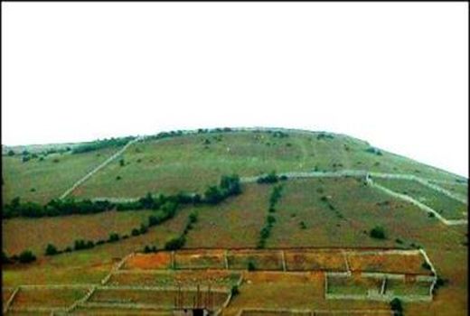 تعیین تکلیف ۱۶۹ فقره  پرونده اراضی ملی در کردستان