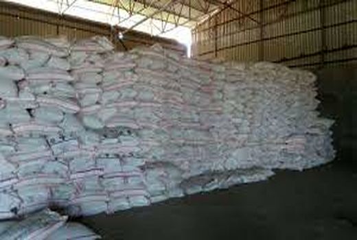 توزیع بیش از 41 هزارتن انواع کود شیمیایی بین کشت و صنعت های خوزستان