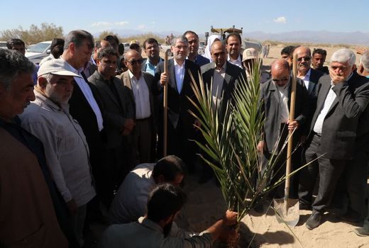 آغاز طرح توسعه ۲۳۰۰ هکتاری نخلستان‌های سیستان و بلوچستان با ارقام تجاری و اقتصادی با حضور وزیر جهاد کشاورزی