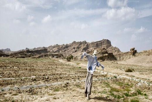 جرائم تسهیلات بانکی برای کشاورزان خسارت دیده از خشکسالی در اصفهان بخشیده شد