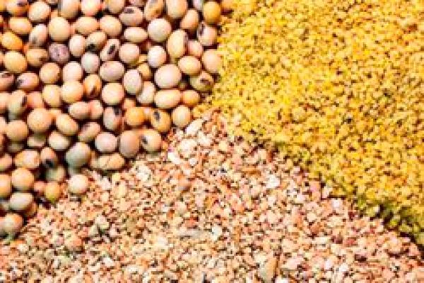 راه اندازی سامانه بازارگاه محصولات و نهاده های کشاورزی