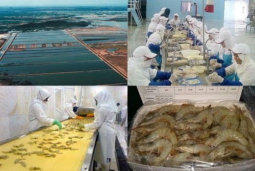 دو پروژه شیلاتی در شهرستان تنگستان افتتاح شد