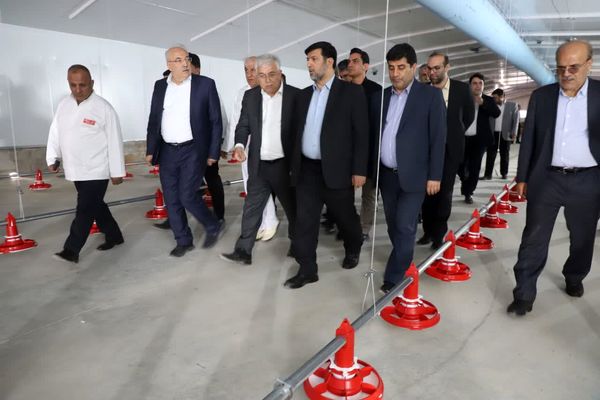 بازدیدآقامیری از زنجیره تامین مرغ گوشتی در شبستر