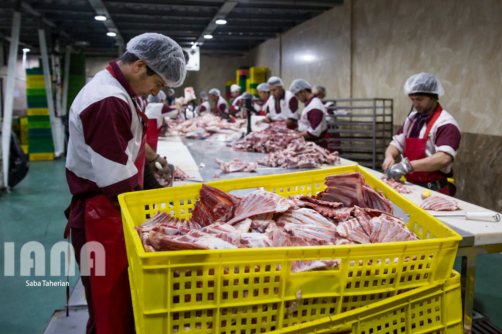 بسته‌بندی محصولات پروتئینی