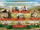 آغاز اجرای طرح افزایش بهره‌وری در دامداری‌های سبک روستایی و عشایری بستان‌آباد  