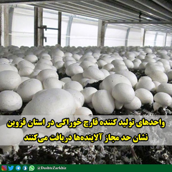 واحدهای تولید کننده قارچ خوراکی در استان قزوین، نشان حد مجاز آلاینده‌ها دریافت می‌کنند