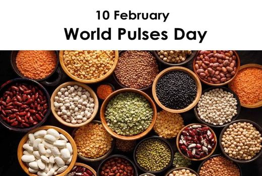 تولید 25 درصد عدس و 95 درصد لپه کشور در استان آذربایجان شرقی 