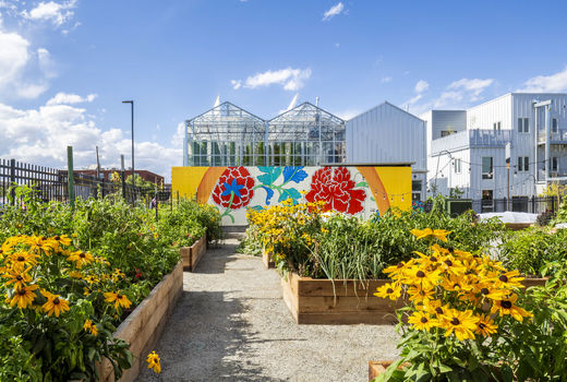 کشاورزی شهری امیدی تازه برای تغذیه شهرها