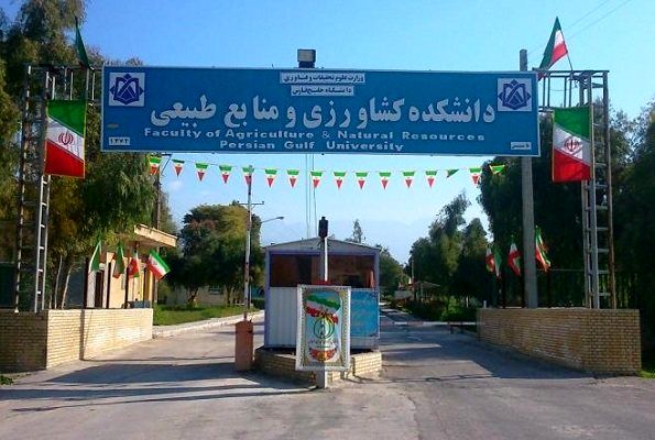 جزئیات پرداخت وام‌های مسکن دانشجویی اعلام شد+ مبلغ وام‌ها