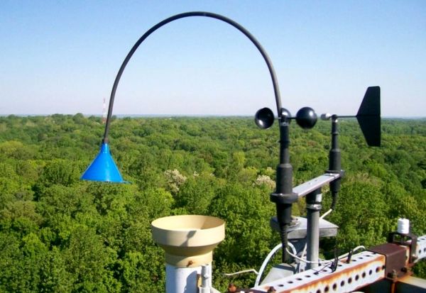 خشکی هوا بیش از خشکی خاک، روی گیاهان تأثیر میگذارد