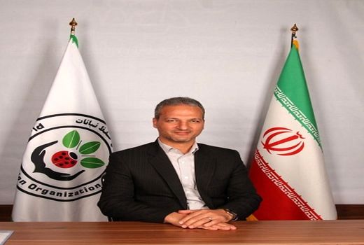 رقم گندم با مقاومت 100 درصدی به 