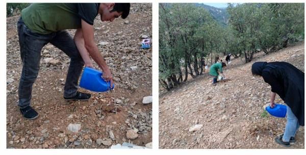 سمن‌های لرستان، پیشتاز فعالیت‌های محیط زیستی