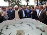 بازدید وزیر جهاد کشاورزی از ایستگاه تحقیقاتی تاس ماهیان گیلان