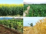 خراسان شمالی می تواند به یکی از قطب های صادراتی محصولات کشاورزی تبدیل شود