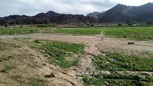 خسارت سیل در سیستان و بلوچستان