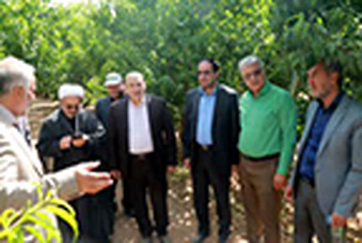 دانش و فناوری برای باغداران در اولویت قرار گیرد