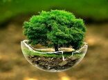 ایران و فائو برای همکاری مشترک به توافق رسیدند
