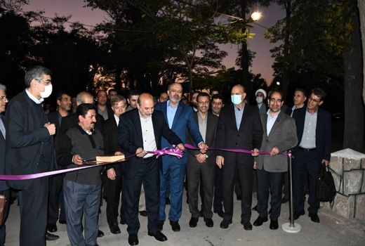 استقرار یکهزار شرکت دانش بنیان در10 استان کشور و در 10 دهکده فناوری و نوآوری کشاورزی