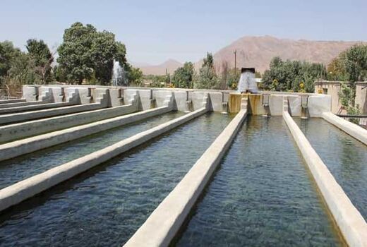 آذربایجان غربی پیشرو در پرورش آبزیان