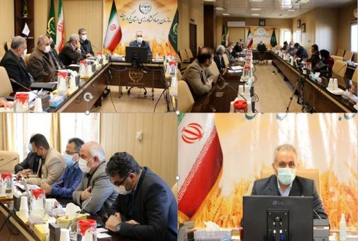 پایداری تولید و افزایش عملکرد در گرو اجرای کشاورزی حفاظتی و تغذیه مناسب مزارع است