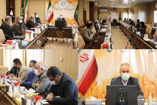 پایداری تولید و افزایش عملکرد در گرو اجرای کشاورزی حفاظتی و تغذیه مناسب مزارع است