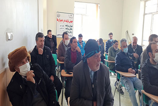 بهره‌برداران دیم‌کار بویین زهرایی با اصول صحیح کشت نخود در مزارع آشنا شدند