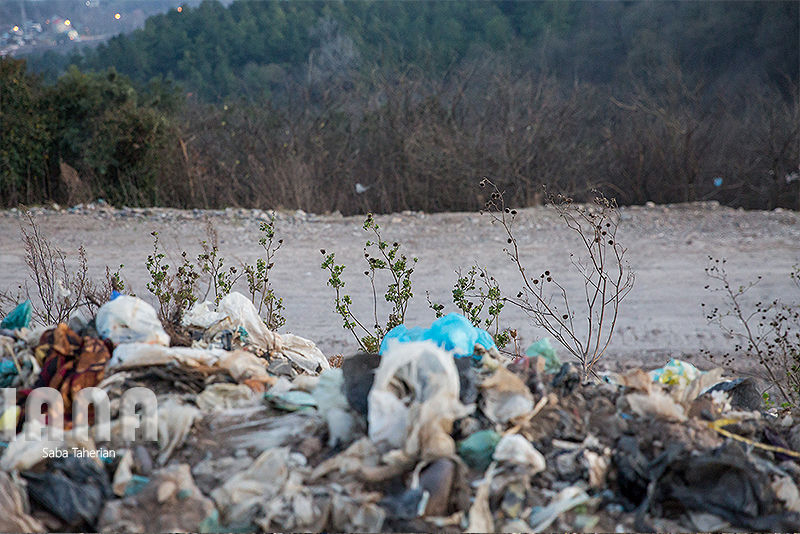 زباله دانی به وسعت یک جنگل