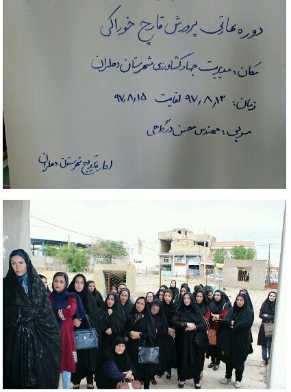 برگزاری دوره آموزشی – مهارتی پرورش قارچ خوراکی در دهلران 