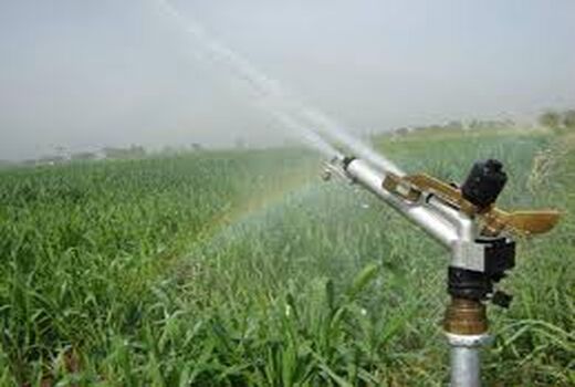  مدیریت آبیاری مزارع گندم در خرمشهر