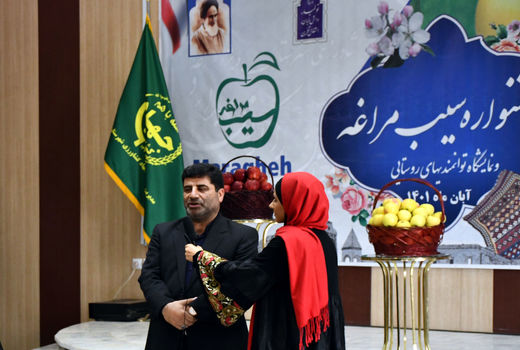 تولید 50 درصد سیب استان در مراغه