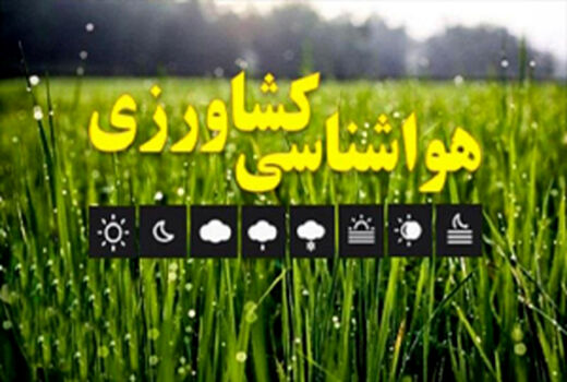  در کاشت غلات پاییزه تسریع کنید