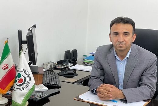 مبارزه با ملخ مراکشی در استان فارس آغاز شد