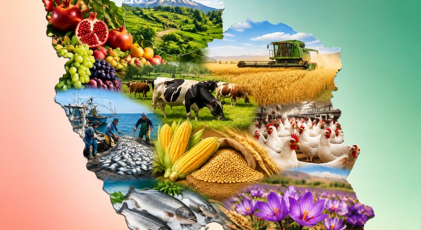 خوراک دام، گندم، روغن، برنج و لبنیات؛ زنجیره اولویت‌دار امنیت غذایی