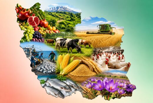 خوراک دام، گندم، روغن، برنج و لبنیات؛ زنجیره اولویت‌دار امنیت غذایی