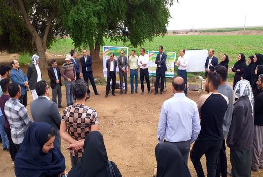 برگزاری کاروان ترویجی ارتقای بهره وری کشاورزی در استان ایلام