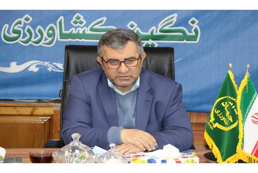 19 هزارتن پرتقال شب عید به 21 استان کشور حمل شد/ تاکید بر آرامش بازار