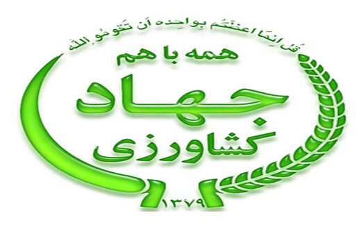برگزاری کارگاه آموزشی ترویجی رعایت اصول به زراعی به نژادی تولید گندم در استان بوشهر